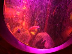 -沈阳海洋探索中心