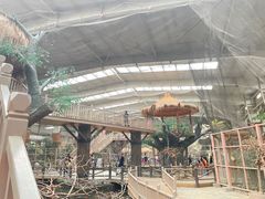 -南宫五洲植物乐园