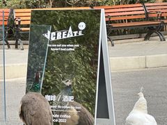 -J Create城市露营咖啡·简餐·宠物(上海动物园店)