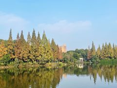 -成都南湖公园