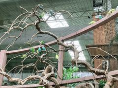 -南宫五洲植物乐园