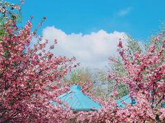 -石家庄市植物园