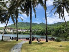 -三亚亚龙湾金棕榈度假酒店