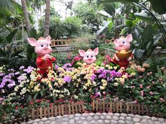 -北京植物园-展览温室