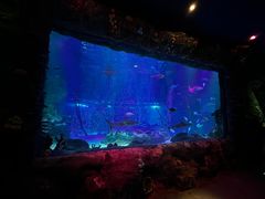 -沈阳海洋探索中心