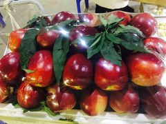 -菜园坝水果市场