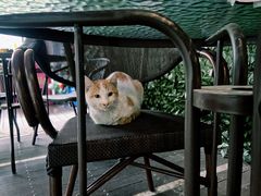 -尼珂波咖啡站(联合广场店)