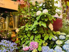 -二酉书店TOYOU BOOKS