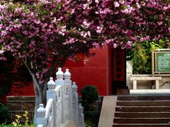 -石岛赤山风景区