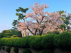 -灌篮高手动画打卡地