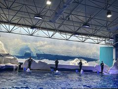 -秦皇岛乐岛海洋王国