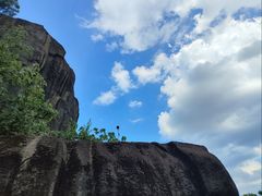 -金鸡山公园