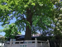 -常熟方塔园