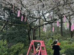 -杭州少年儿童公园