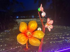 -广西壮族自治区药用植物园
