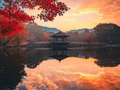 -大国药妆(NEW心斎橋店)