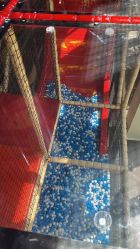 -玩元素·家庭游乐成长中心(香格里拉店)