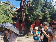 -北京国子监胡同