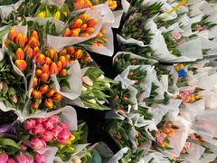 -循礼门鲜花花市(武汉循礼门店)