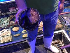 -協成海鮮火鍋(老店)