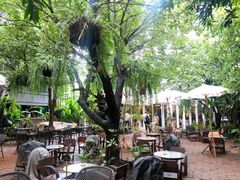 景观位-Fern Forest Cafe