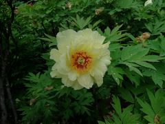 -合肥三国新城遗址公园