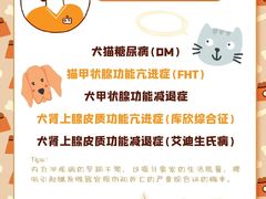 -哆趣宠物医院·眼科·内镜·急重症转诊中心(上海店)