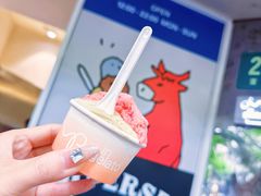 -Dip in Gelato(富民路店)