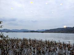 -湖畔居茶楼(湖滨店)