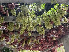 -华南国家植物园-售票处