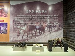 -迪庆藏族自治州博物馆