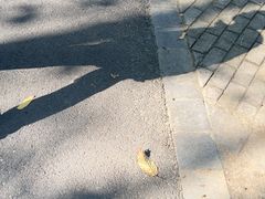 -白塘生态植物园