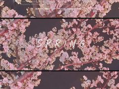 -新天地活力PARK