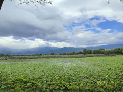 -野鸭湖国家湿地公园