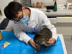 -达爱动物医院·犬猫分区·CT·复杂眼科(远洋山水分院)
