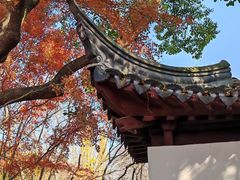 -秋霞圃
