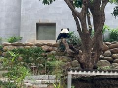 -石排湾郊野公园