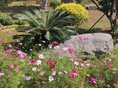 -东莞植物园