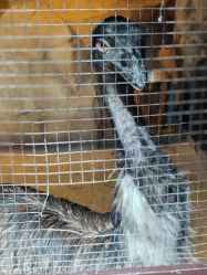 -酷嗒动物文化乐园(cutezoo西溪乐天城店)