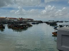 -北海金海湾红树林生态旅游区