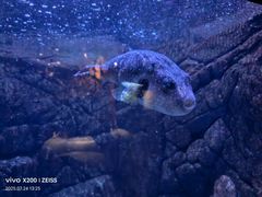 -成都浩海立方海洋公园