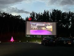 -枫花园汽车电影院(朝阳公园店)