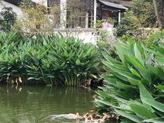 -石塘人家