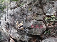 -牛鱼嘴原始生态风景区