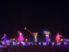 -广州长隆国际大马戏