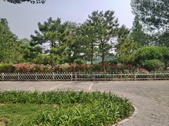 -北坞公园