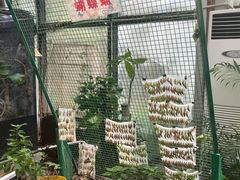 -上海大自然野生昆虫馆(东方明珠·爬宠昆虫探索中心)
