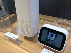 -小米之家(东方宝泰购物中心店)