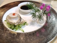 -丁老爷子苏香圆