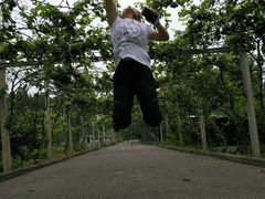 -武汉世外桃源农庄